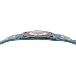 Charlotte Hornets WWE Legacy Title Belt