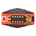 Cleveland Browns WWE Legacy Title Belt