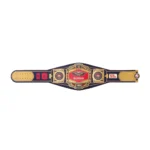 New Orleans Pelicans WWE Legacy Title Belt